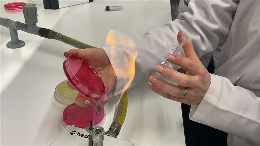 Uçak yakıtında yeni bir bakteri cinsi keşfedildi