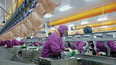 Türkiye AB’ye işlenmiş tavuk eti ihracatına hazırlanıyor