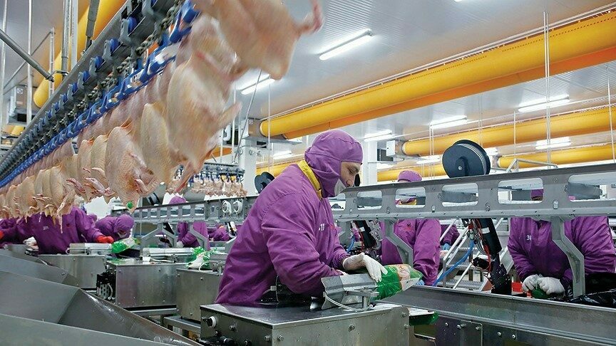 Türkiye AB’ye işlenmiş tavuk eti ihracatına hazırlanıyor