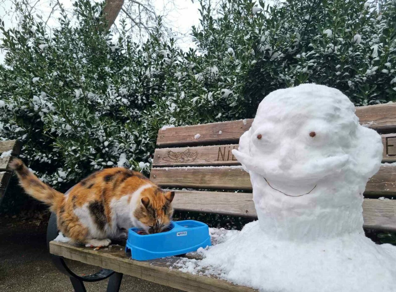 Uludağ Elektrik, sokak hayvanlarına destek olmaya devam ediyor Uludağ Elektrik, sokak hayvanlarına destek olmaya devam ediyor