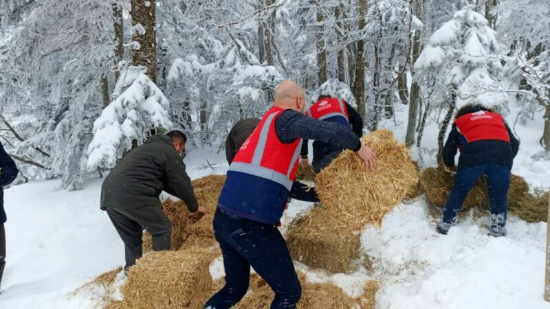 Bursa Vakıflar Bölge Müdürlüğü ile Bursa Doğa Koruma ve Milli