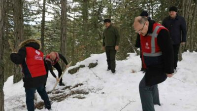 Uludağ’daki yaban hayvanları unutulmadı