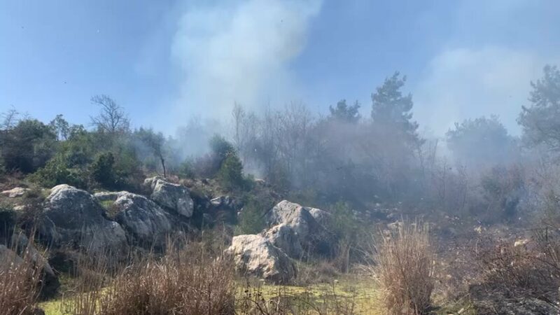Bursa'nın Mustafakemalpaşa ilçesinde tarım arazisinde başlayıp ormanlık alana sıçrayan yangın