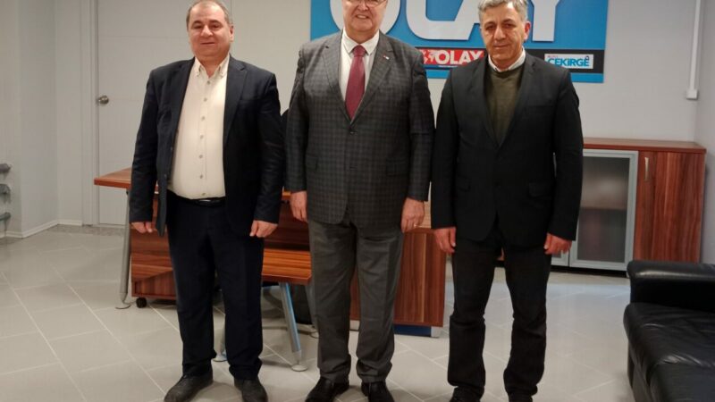 Olay Gazetesi Yazarı Ahmet Emin Yılmaz, DEM Parti Meclisi Üyesi