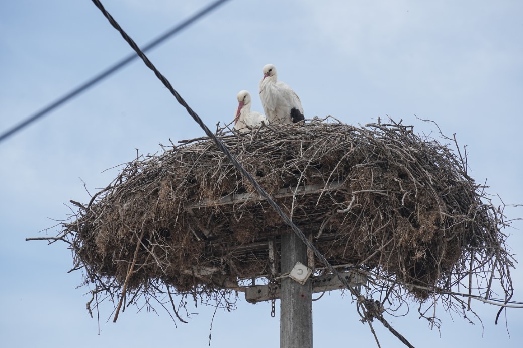 Başkan Bozbey açıkladı; ‘Leylek Köyü’nü Bursa’ya kazandıracağız’
