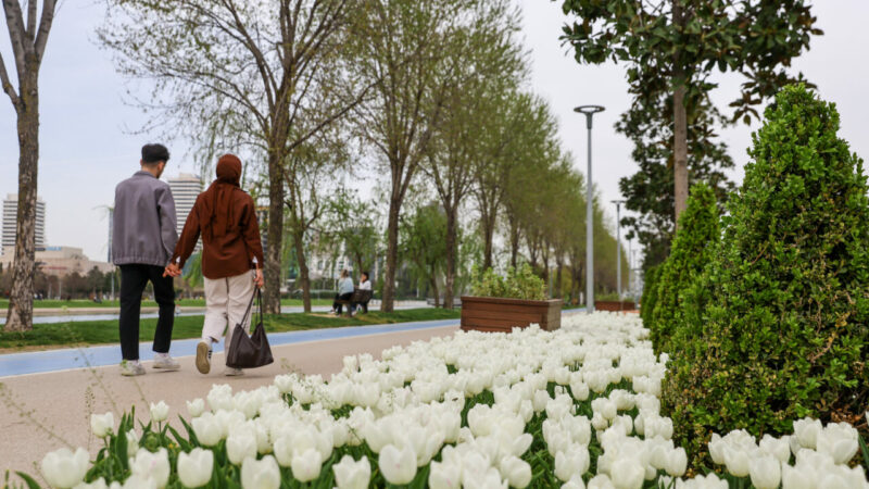 Bursa Büyükşehir Belediyesi ekiplerinin büyük kent parklarına diktiği iki buçuk