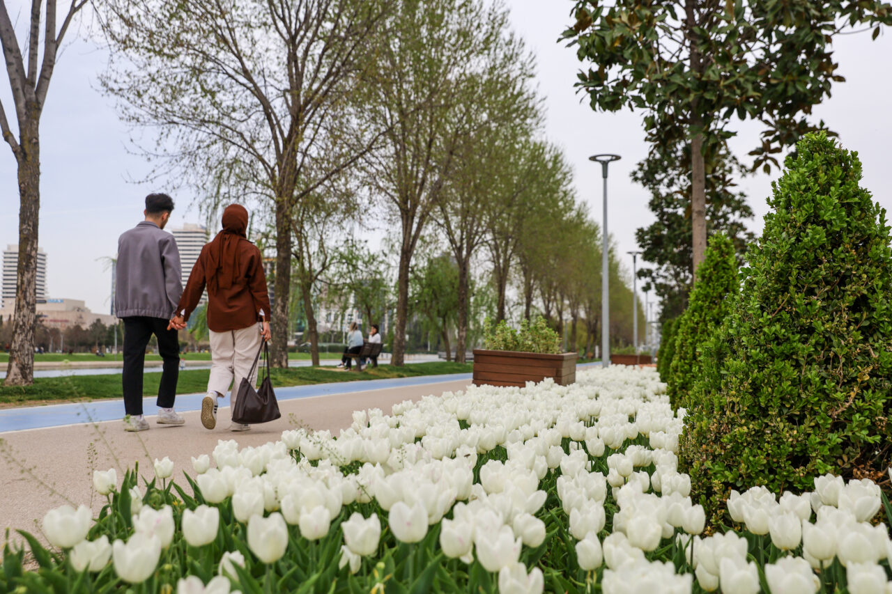 Bursa çiçek açtı Bursa çiçek açtı