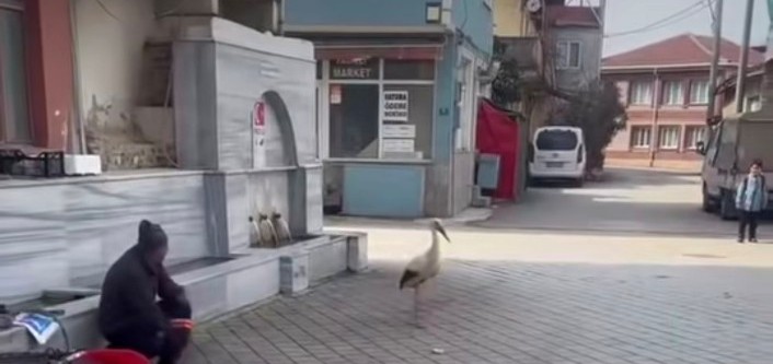 Bursalı Yusuf dayının Bilal’i geldi sıra Yaren’de