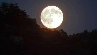 Mehmet Ali İnan yazdı; Gece gökyüzü