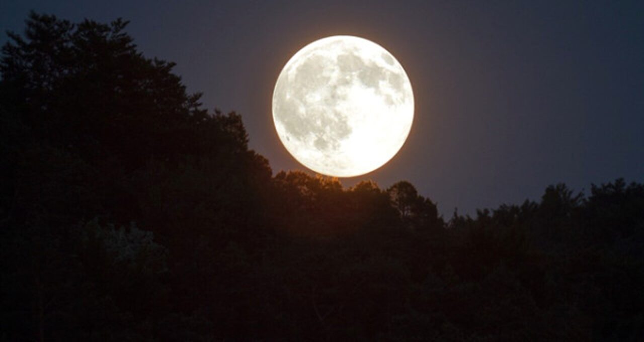 Mehmet Ali İnan yazdı; Gece gökyüzü