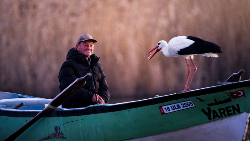Bahar şimdi gerçekten geldi!
