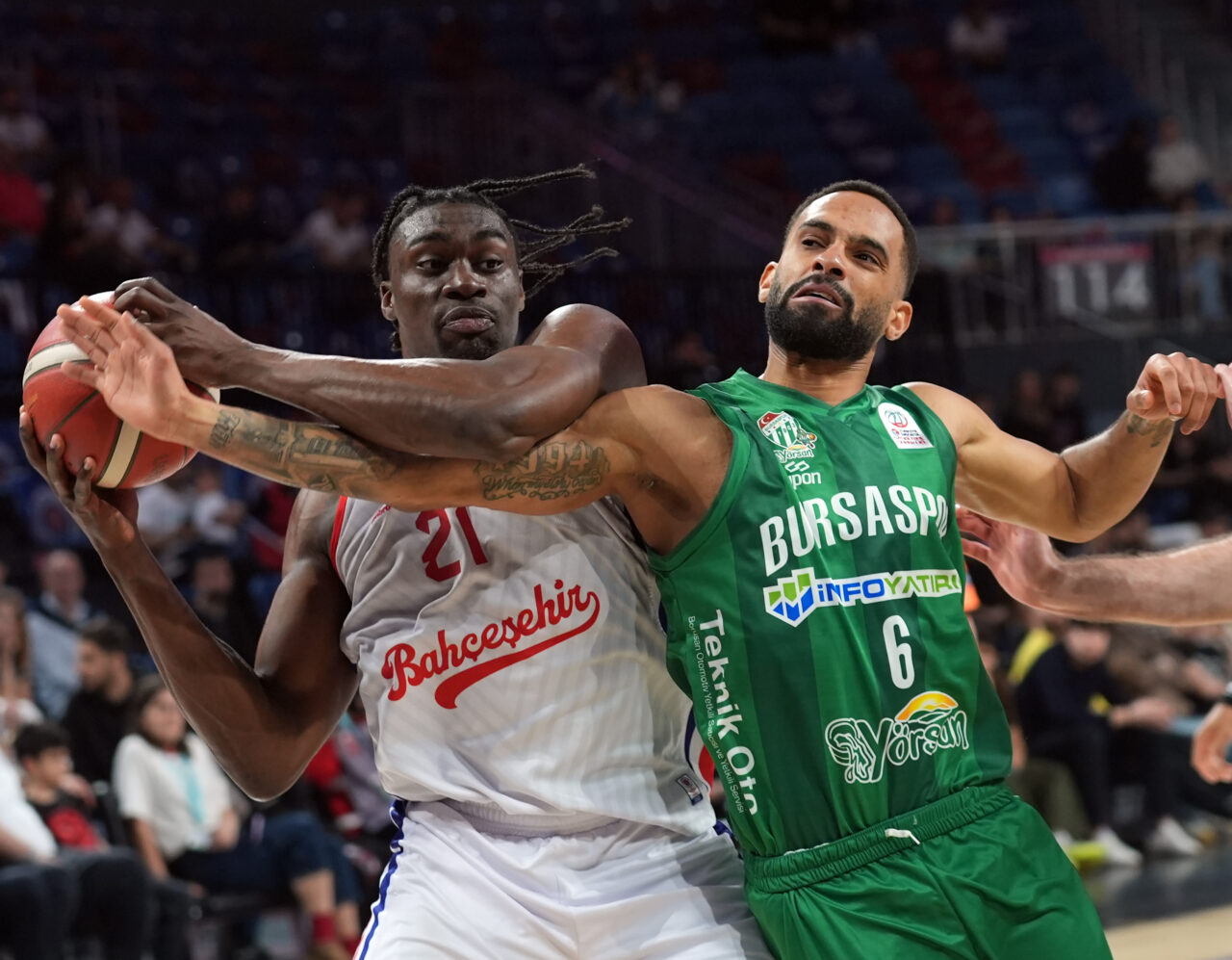 Timsah potada sert fren yaptı! Timsah potada sert fren yaptı!