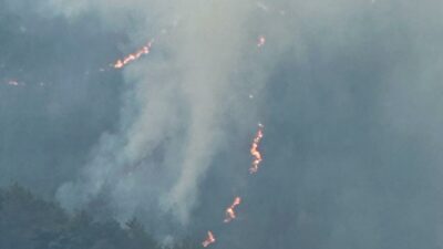 Balıkesir’de orman yangını