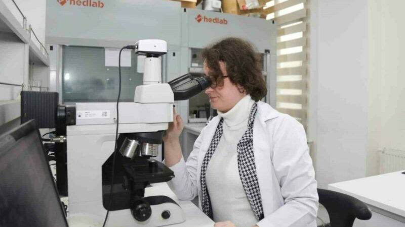 BTÜ’den endüstriyel uygulamalar için yeni nesil malzeme BTÜ akademisyenleri, otomotiv, elektronik, ulaşım gibi pek çok sektöre yenilik