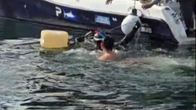 Bursa’da dev orkinos paniği