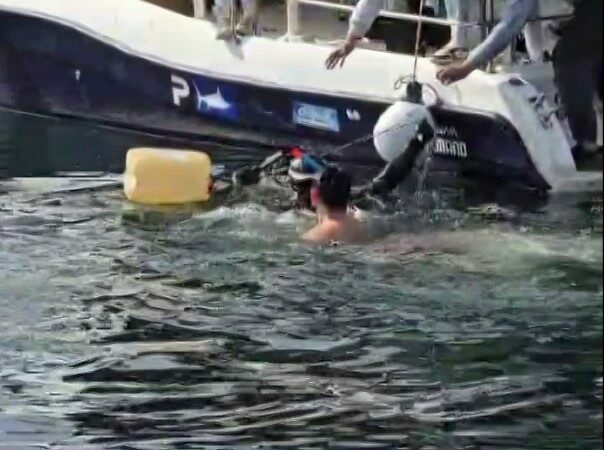 Bursa’da dev orkinos paniği Bursa’nın Gemlik ilçesinde balıkçılar dev orkinos balığı yakaladı. Balıkçıların elinden
