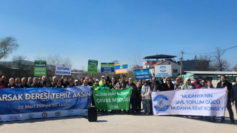Bursa Kent Konseyi Çevre Meclisi Başkanı Özge Sivrioğlu, İznik Gölü