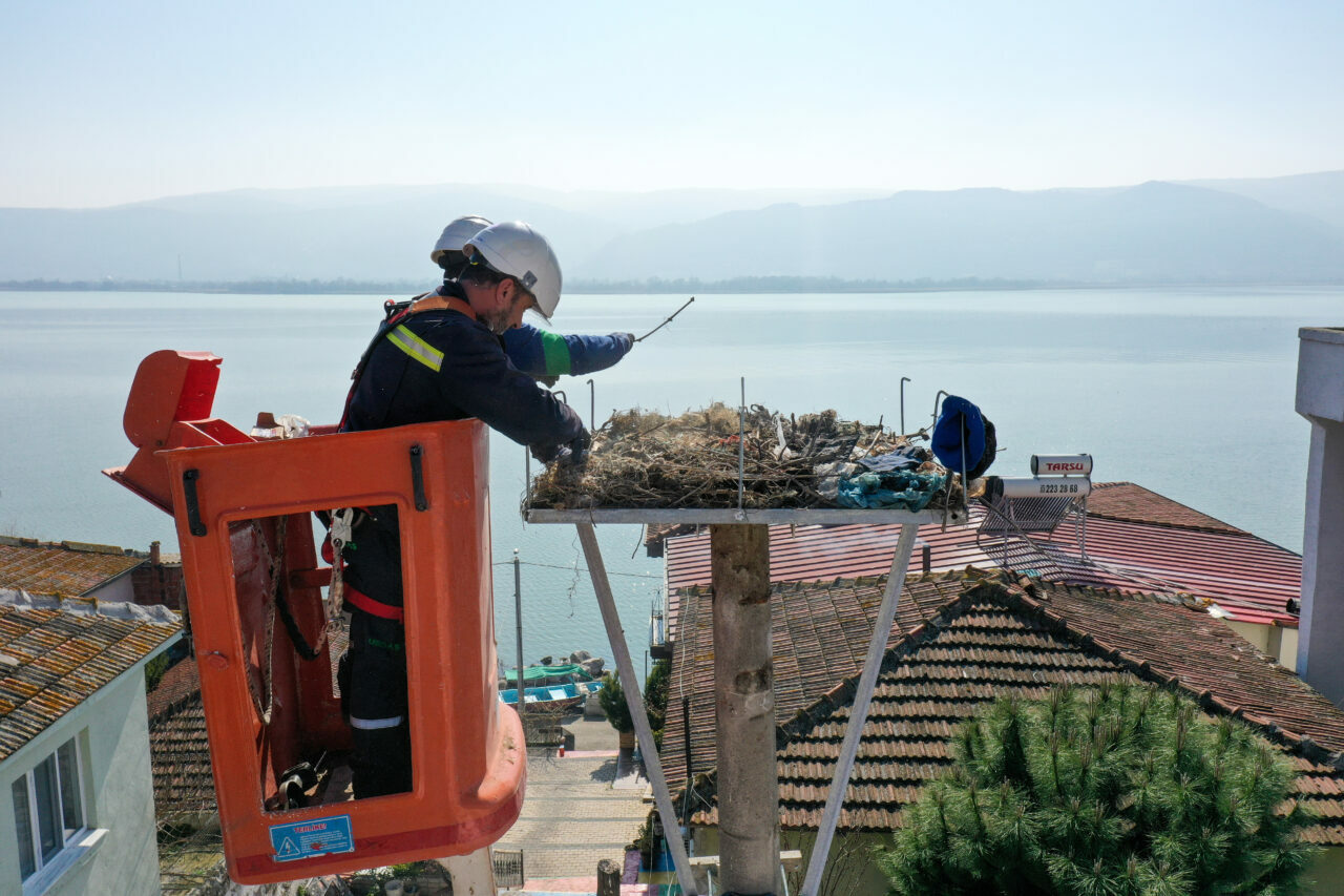Bursa’da leylekler için yeni yuvalar