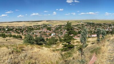 Mehmet Ali İnan yazdı; Kavaklar