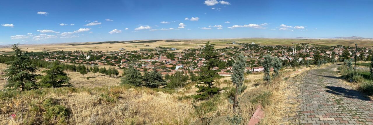 Mehmet Ali İnan yazdı; Kavaklar