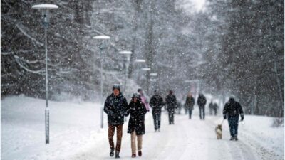 Mehmet Ali İnan yazdı; İç dökmeler