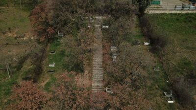 Bursa’da 18 yıl önce açıldı! Papağan da gömüldü tavşan da…