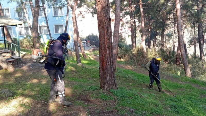 Bursa Gemlik’te yeşil seferberlik Gemlik Belediyesi Park ve Bahçeler Müdürlüğü ekipleri, ilçe genelinde çevre
