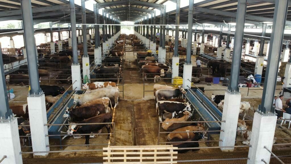 Bursa’da belediye açıkladı! Tarih belli oldu