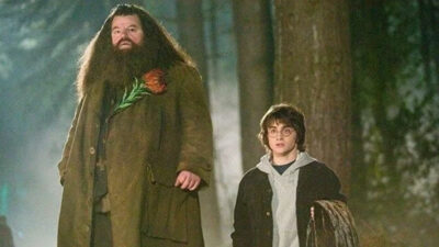Harry Potter dizisinin “Hagrid”i belli oldu