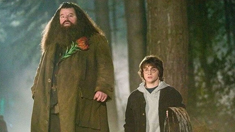 Harry Potter dizisinin “Hagrid”i belli oldu Harry Potter dizisinin “Hagrid”i belli oldu