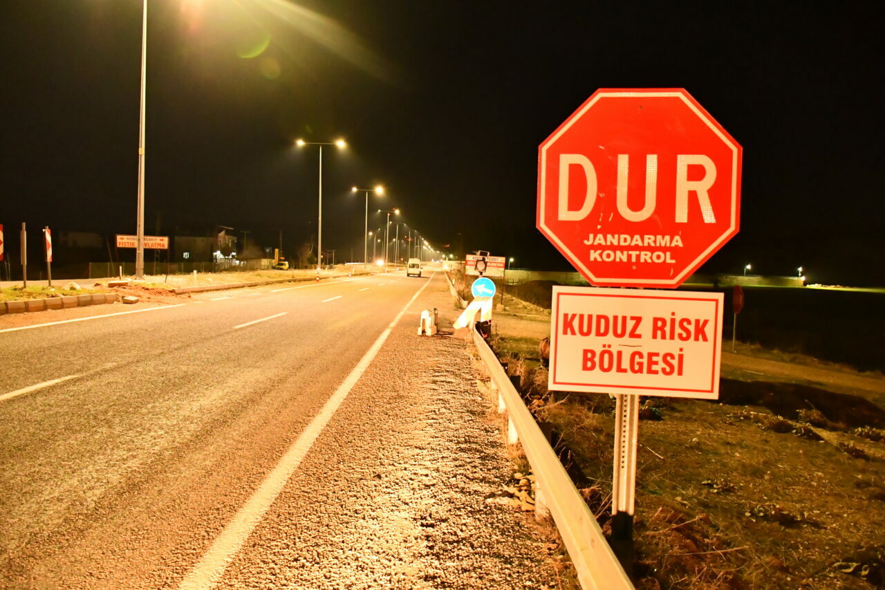 O ilimizde ‘kuduz’ alarmı: 6 ay karantinaya alındı