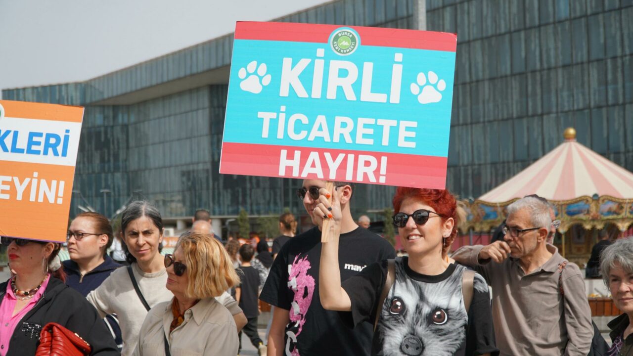 Bursa’da hayvan hakları için ortak tepki! Hep birlikte ses yükselttiler