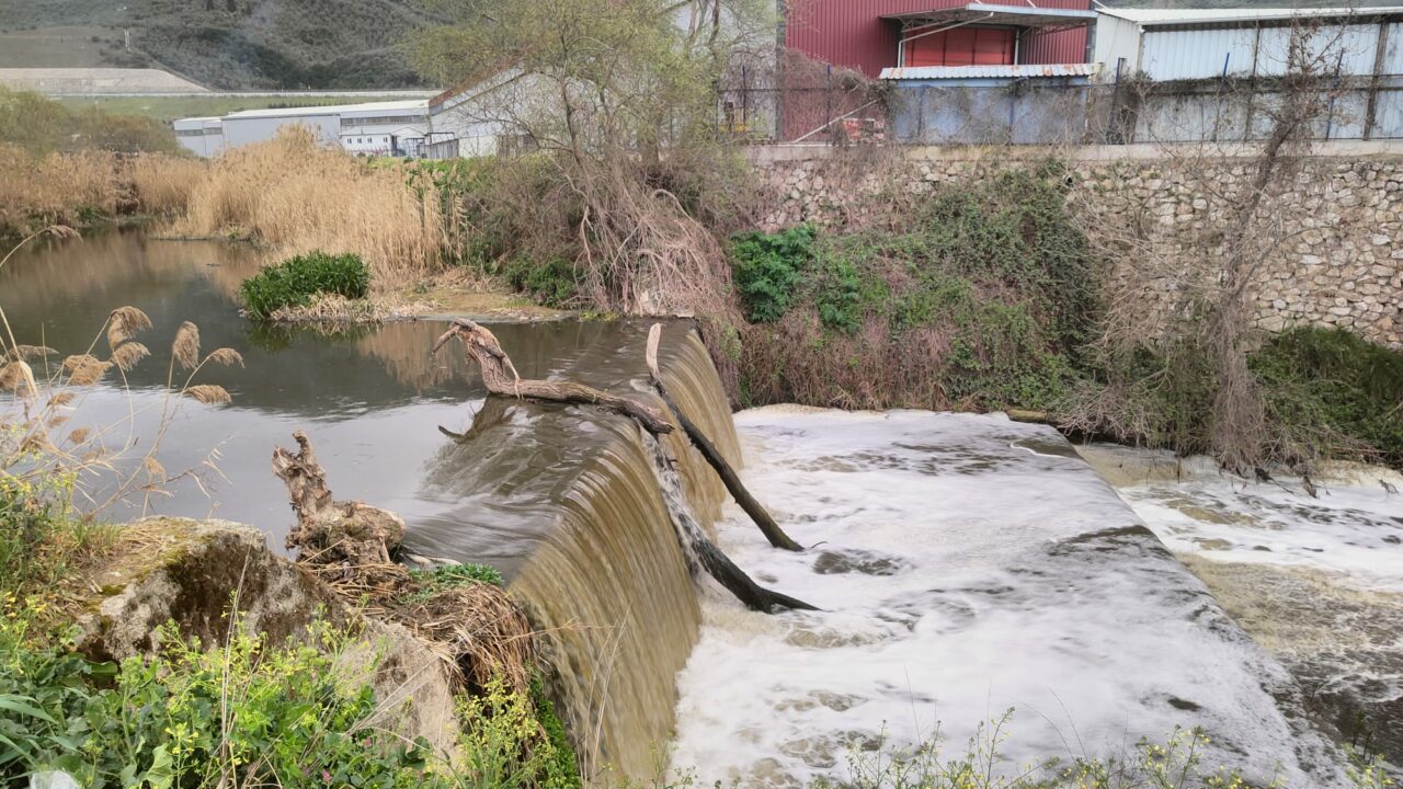 Bursa’nın bu deresinden zehir akıyor; ‘Bu nasıl bir vicdansızlıktır’