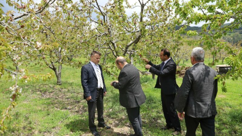 Bursa Büyükşehir’den Kelesli çiftçiye destek Geçtiğimiz hafta Türkiye genelinde etkili olan zirai don felaketi sonrası