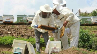 Ağzınızın tadını kaçıracak haber!