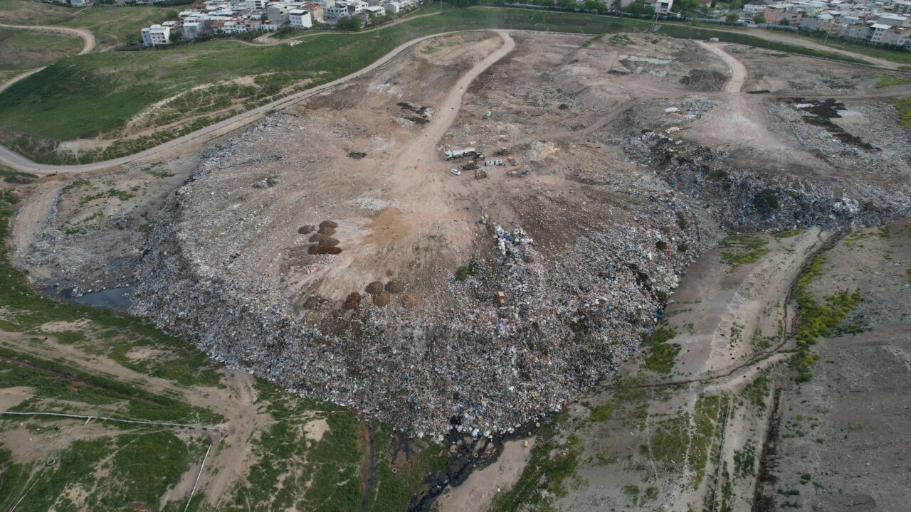 Osmangazi Belediyesi’nden hayvan katliamı iddialarına açıklama: “Organize bir operasyon”
