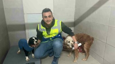 Bursa Büyükşehir, bayramda da can dostların yanında