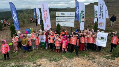 Bursa’da 10 bin fidan dikildi