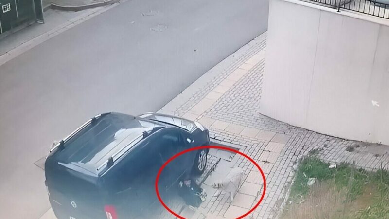 Bursa’da başıboş köpek dehşeti! Okuldan çıkan çocuğa… Bursa'nın Orhangazi ilçesinde başıboş köpekler, 10 yaşlarındaki çocuğa saldırdı. Kaçarken