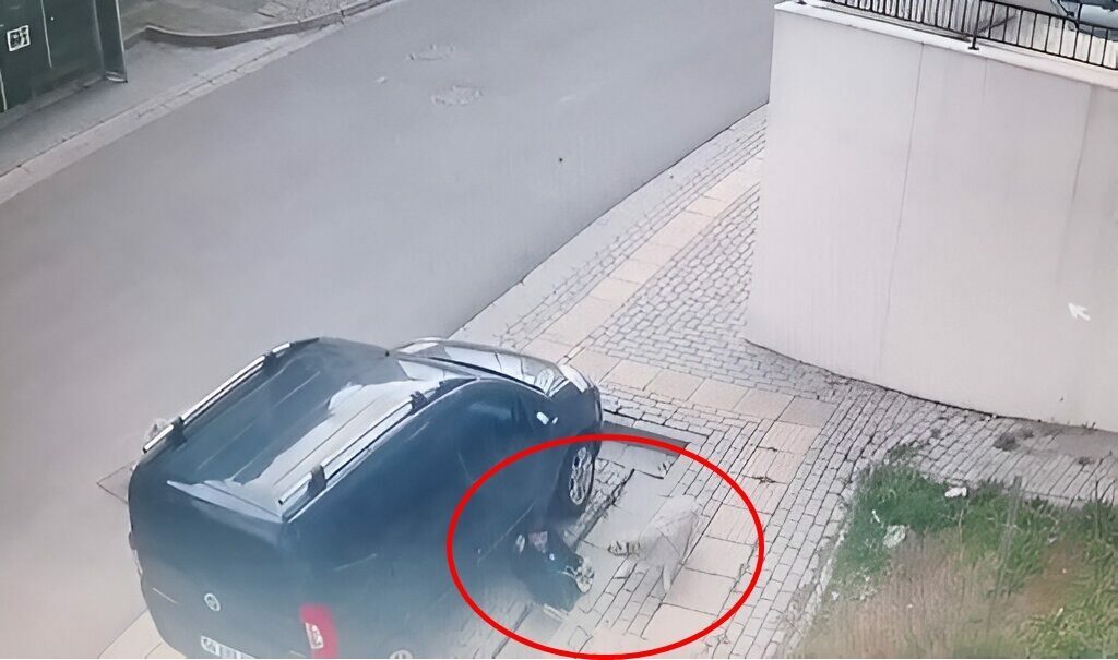 Bursa’da başıboş köpek dehşeti! Okuldan çıkan çocuğa…