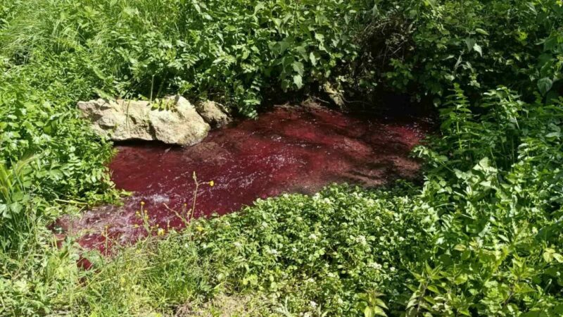 Bursa’da bu dereyi görenler gözlerine inanamadı! Bursa’da dünyaca ünlü turşuların üretildiği coğrafi işarete sahip Gedelek Köyü’nde