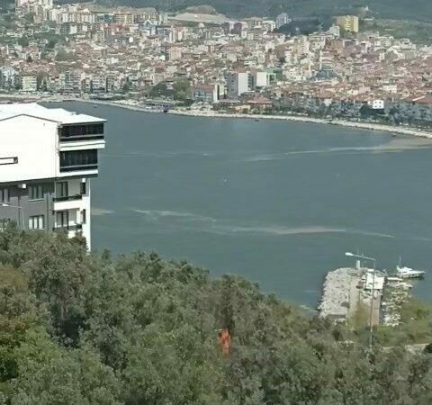 Bursa’da kabus geri döndü! Vatandaşlar tedirgin Türkiye’de 2021 yılında neredeyse tüm sahilleri saran müsilaj kabusu geri