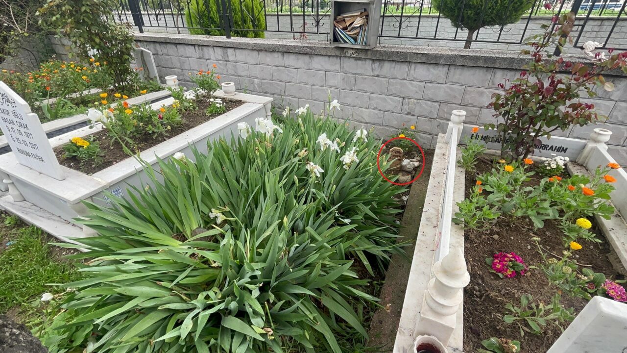 Bursa’da ‘kaçak defin’ soruşturması! Bursa’da ‘kaçak defin’ soruşturması!