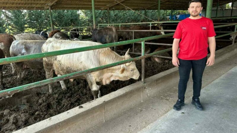 Bursa’da kurban fiyatları belli olmaya başladı: İşte ilk fiyatlar Yaklaşan Kurban Bayramı öncesi piyasalarda kurban telaşı başladı. Vatandaşlar fiyatları