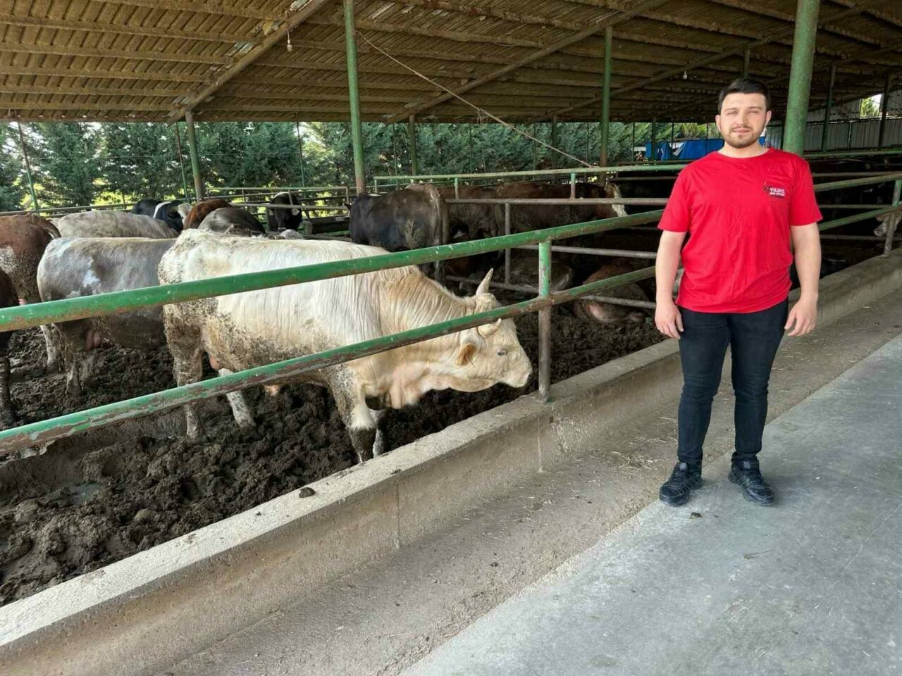 Bursa’da kurban fiyatları belli olmaya başladı: İşte ilk fiyatlar