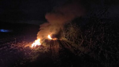 Bursa’da üreticiler meyve ağaçlarını soğuktan böyle koruyor