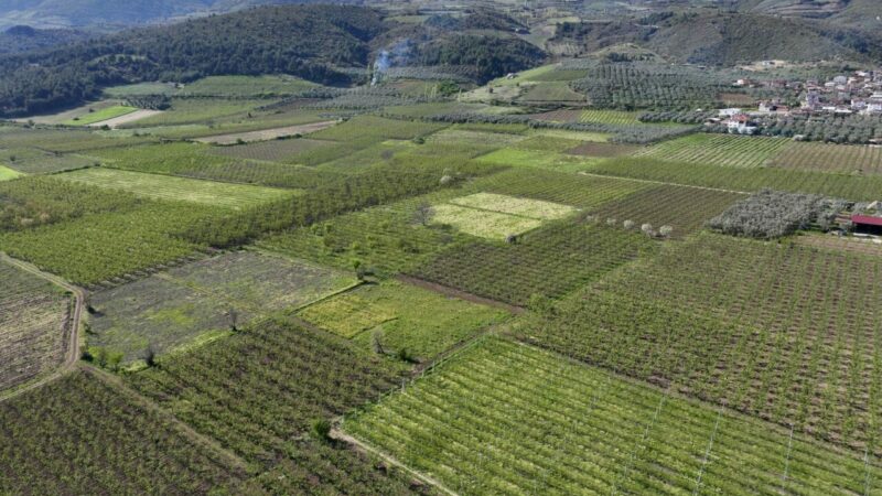 Türkiye Ziraat Odaları Birliği (TZOB) Genel Başkanı Şemsi Bayraktar, Bursa'nın