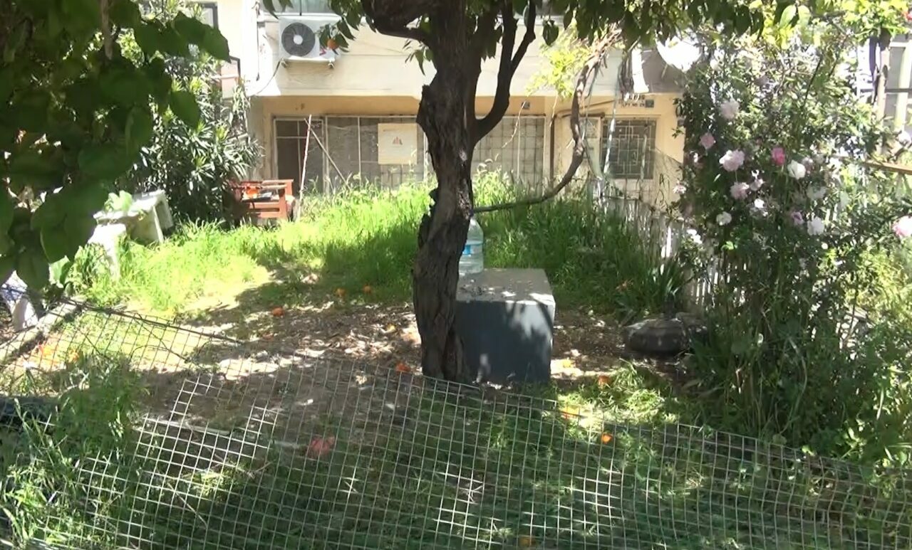 Bursa’daki vahşette flaş gelişme