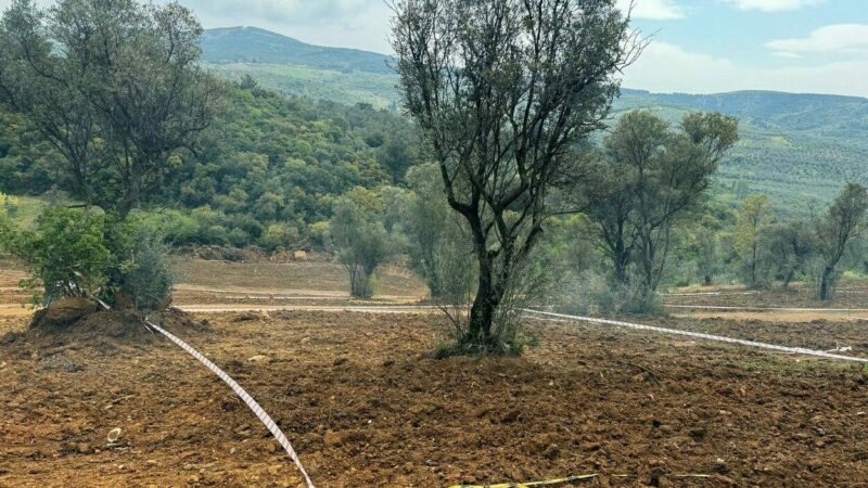 Bursa Mudanya İlçe Kaymakamlığı'ndan önemli bir uyarı yapıldı. Kaymakamlık; tarım