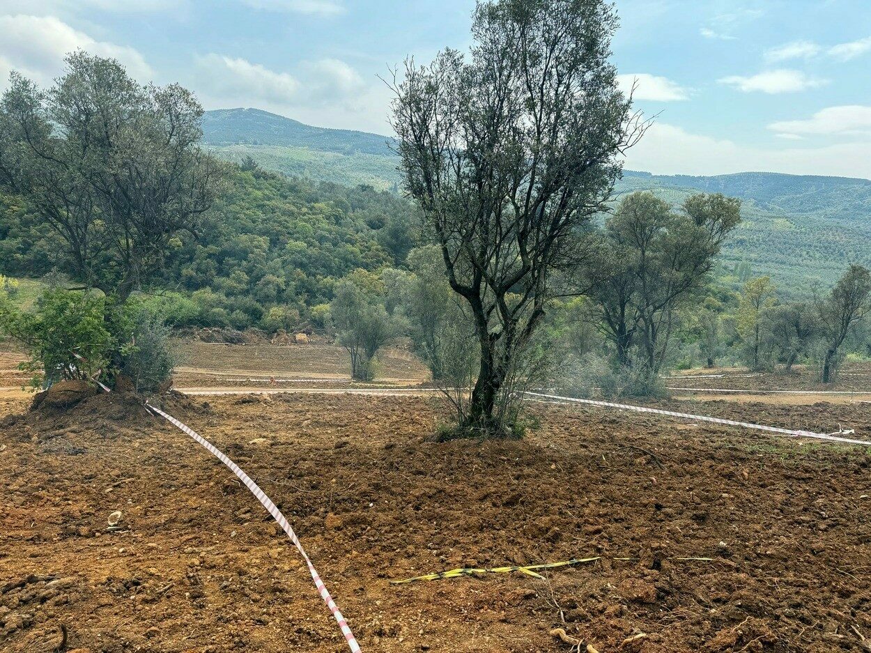 Bursa’nın bu ilçesi için dikkat çeken açıklama: ‘Kanun dışı satış tespit edildi’